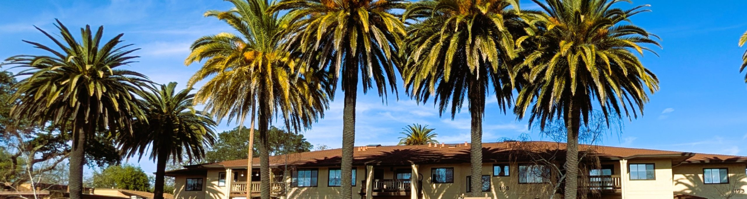 PXL_20260118_202510988