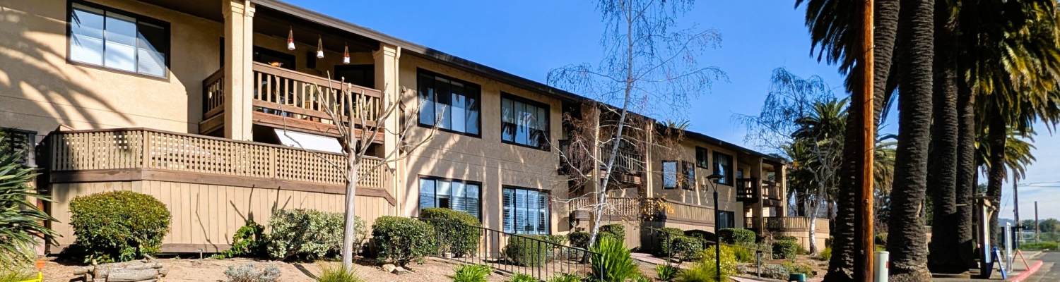 PXL_20260118_202602586